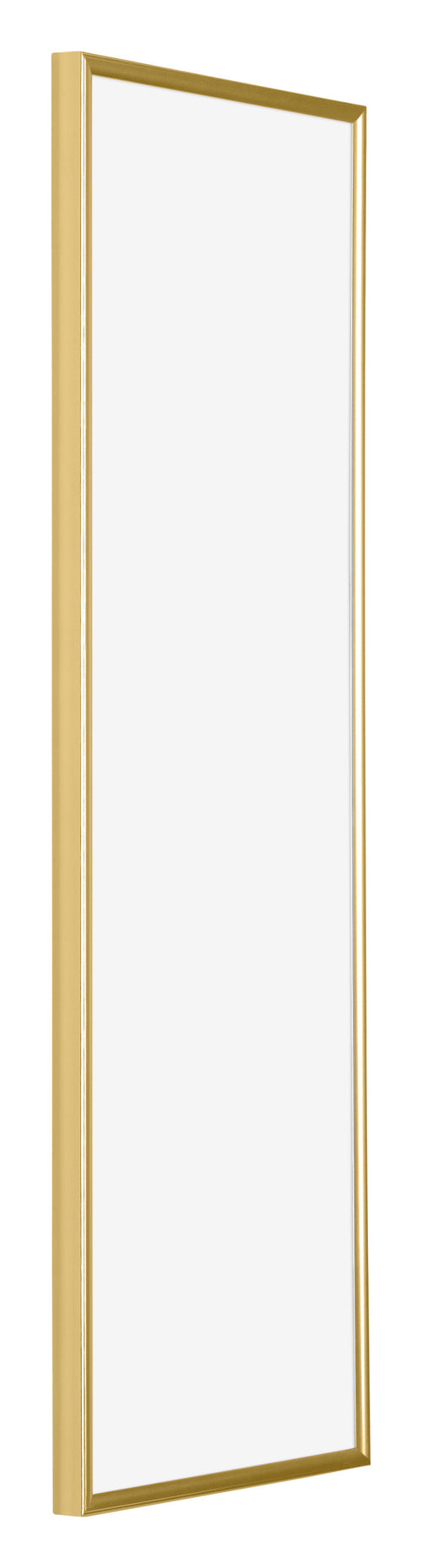 Evry Plastic Photo Frame 37 5x98cm Gold Front Oblique | Yourdecoration.co.uk