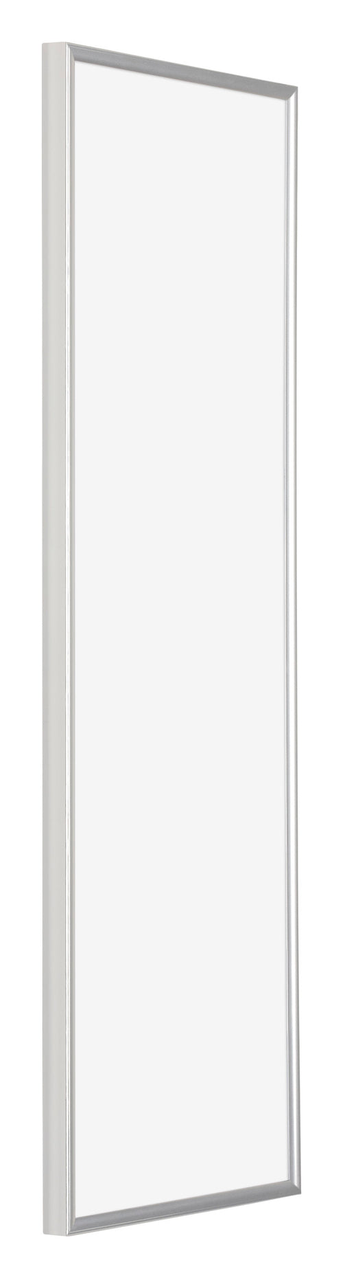 Evry Plastic Photo Frame 37 5x98cm Silver Front Oblique | Yourdecoration.co.uk