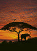 Komar African Sunset Wall Mural National Geographic 194x270cm | Yourdecoration.co.uk