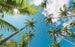 Komar Coconut Heaven II Non Woven Wall Mural 450x280cm 9 Panels | Yourdecoration.co.uk