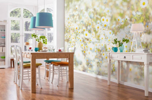 Komar Daisies Wall Mural 368x254cm | Yourdecoration.co.uk