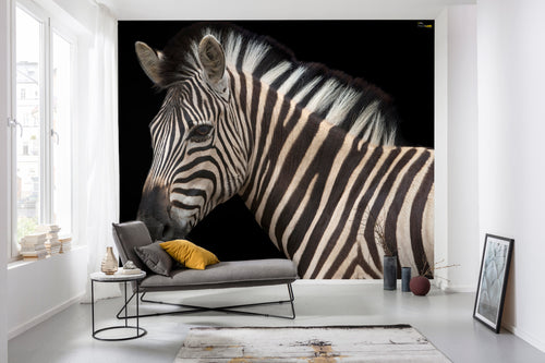 Komar Damara Zebra Non Woven Wall Mural 400X280Cm 6 Parts Ambiance | Yourdecoration.co.uk