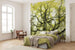 Komar Der Traumbaum Non Woven Wall Mural 300x280cm 6 Panels Ambiance | Yourdecoration.co.uk