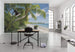 Komar Fiji Dreams Boat Non Woven Wall Mural 450x280cm 9 Panels Ambiance | Yourdecoration.co.uk