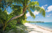 Komar Fiji Dreams Boat Non Woven Wall Mural 450x280cm 9 Panels | Yourdecoration.co.uk