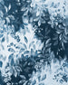 Komar Idyllic Indigo Non Woven Wall Murals 200x250cm 2 panels | Yourdecoration.co.uk