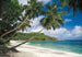 Komar Non Woven Wall Mural 8 308 Tropical Sea | Yourdecoration.co.uk