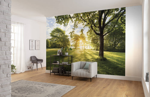 Komar Non Woven Wall Mural 8 743 Golden Moment Interieur | Yourdecoration.co.uk