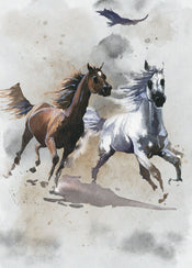 Komar Non Woven Wall Mural Iax4 0030 Wild Ride | Yourdecoration.co.uk