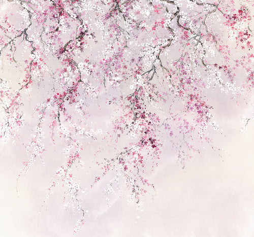 Komar Non Woven Wall Mural Inx6 013 Kirschblüten | Yourdecoration.co.uk