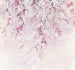 Komar Non Woven Wall Mural Inx6 013 Kirschblüten | Yourdecoration.co.uk