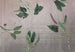 Komar Non Woven Wall Mural Inx8 050 Tropic Concrete | Yourdecoration.co.uk