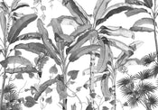 Komar Non Woven Wall Mural Inx8 082 Croissances Monochrome | Yourdecoration.co.uk