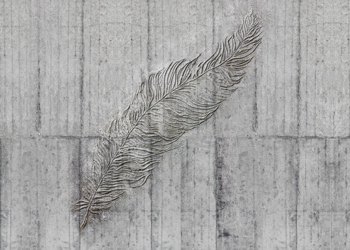 Komar Non Woven Wall Mural X7 1023 Concrete Feather | Yourdecoration.co.uk