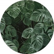 Komar Novel Monstera Wall Mural 125x125cm Round | Yourdecoration.co.uk