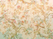 Komar Oiseau de Paradis Non Woven Wall Mural 350x255cm 7 Panels | Yourdecoration.co.uk