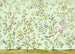 Komar Oiseaux du Paradis Non Woven Wall Murals 350x250cm 7 panels | Yourdecoration.co.uk