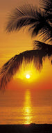 Komar Palmy Beach Sunrise Wall Mural 92x220cm | Yourdecoration.co.uk