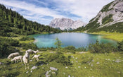 Komar Paradise Lake Non Woven Wall Mural 400x250cm 4 Panels | Yourdecoration.co.uk