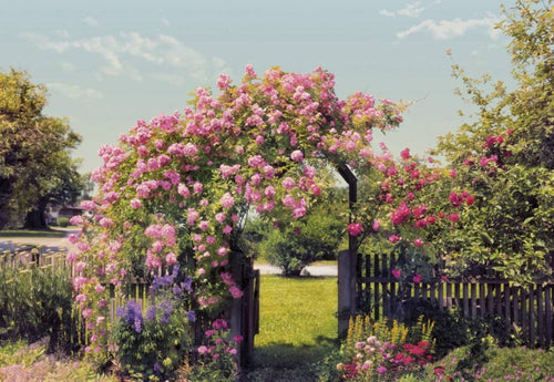 Komar Rose Garden Wall Mural 368x254cm | Yourdecoration.co.uk