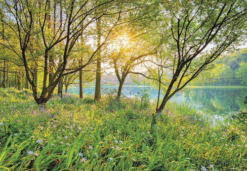 Komar Spring Lake Wall Mural National Geographic 368x254cm | Yourdecoration.co.uk