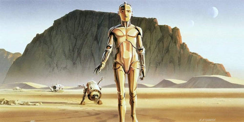 Komar Star Wars Classic RMQ Droids Non Woven Wall Mural 500x250cm 10 Panels | Yourdecoration.co.uk