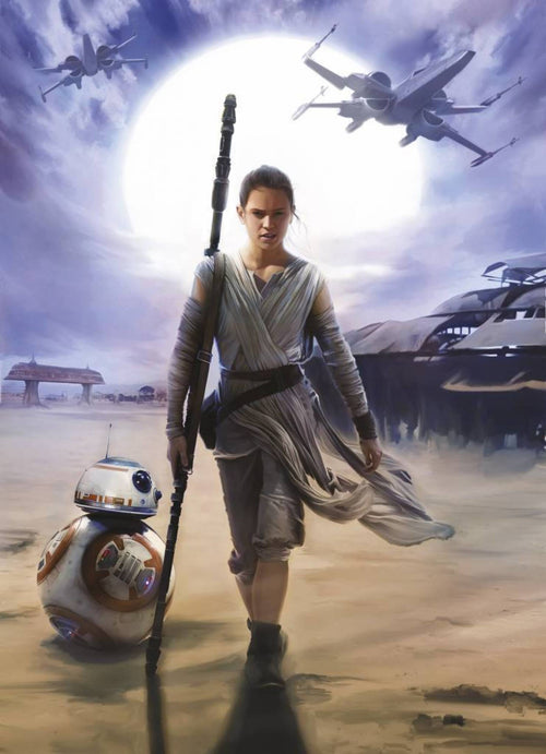 Komar Star Wars Rey Wall Mural 184x254cm | Yourdecoration.co.uk