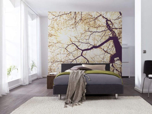 Komar Sunshine Wall Mural 250x250cm 5 Panels Ambiance | Yourdecoration.co.uk