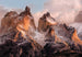 Komar Torres del Paine Wall Mural National Geographic 254x184cm | Yourdecoration.co.uk