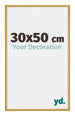 New York Aluminium Photo Frame 30x50cm Gold Shiny Front Size | Yourdecoration.co.uk