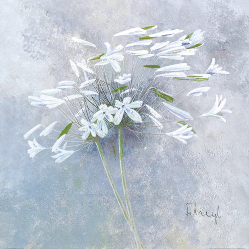 PGM FZH 145 Franz Heigl Enchanted I Art Print 60x60cm | Yourdecoration.co.uk