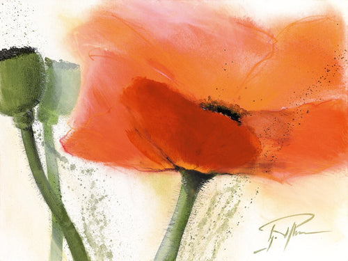 PGM PMG 03 Gerd Pflumm Faszination Mohn III Art Print 80x60cm | Yourdecoration.co.uk