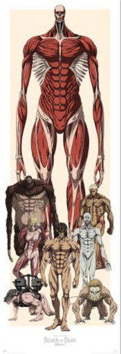 Poster Attack On Titan 53x158cm Grupo Erik PPGE8120 | Yourdecoration.co.uk