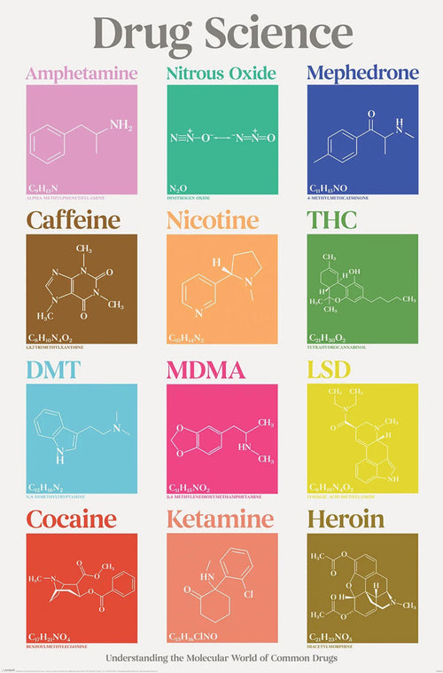 Poster Drug Science A Z 61x91 5cm PP2402112 | Yourdecoration.co.uk