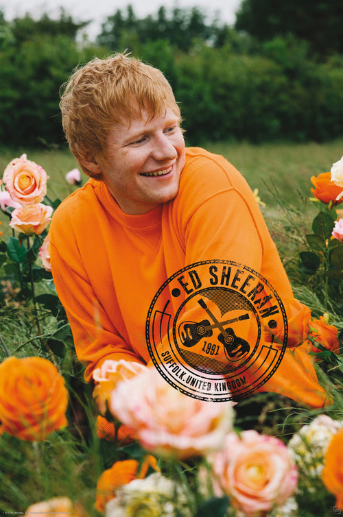 Poster Ed Sheeran Rose Field 61x91 5cm Abystyle GBYDCO396 | Yourdecoration.co.uk