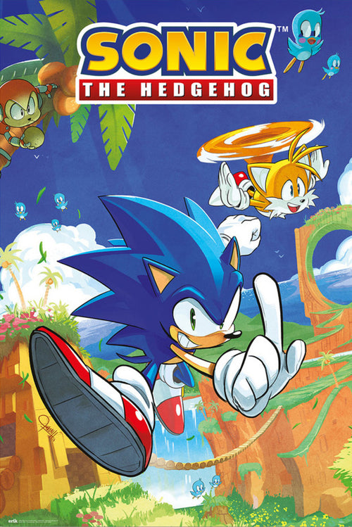 Poster Sonic The Hedgehog And Tails xcm Grupo Erik GPE5798 | Yourdecoration.co.uk