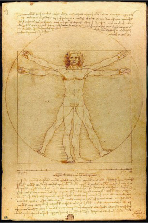 Poster Vitruvian Man 61x91 5cm Grupo Erik GPE5819 | Yourdecoration.co.uk