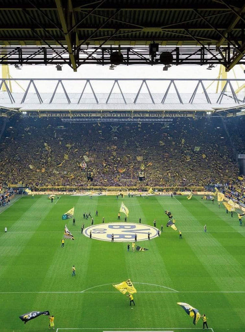 Wizard+Genius BVB Fan Choreo Non Woven Wall Mural 192x260cm 4 Panels | Yourdecoration.co.uk