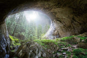 Wizard+Genius Cave In The Forest Non Woven Wall Mural 384x260cm 8 Panels | Yourdecoration.co.uk