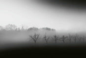 Wizard+Genius Foggy Landscape Non Woven Wall Mural 384x260cm 8 Panels | Yourdecoration.co.uk