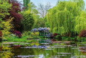 Wizard+Genius Monets Garden in France Non Woven Wall Mural 384x260cm 8 Panels | Yourdecoration.co.uk