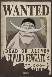 One Piece Wanted Edward Newgate Poster 35X52cm | Yourdecoration.co.uk