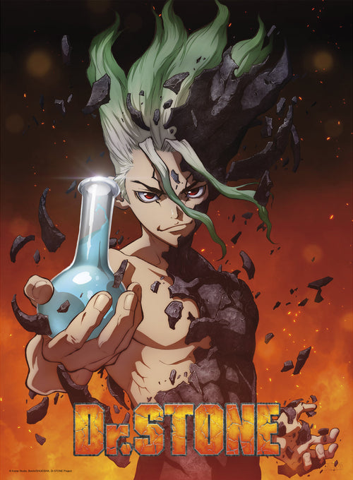 Dr Stone Senku Poster 38X52cm | Yourdecoration.co.uk