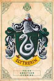 Harry Potter Slytherin Poster 61X91 5cm | Yourdecoration.co.uk