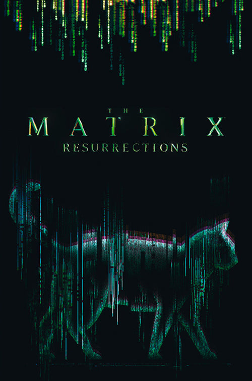 Abystyle Abydco864 The Matrix Cat Poster 61x91,5cm | Yourdecoration.co.uk