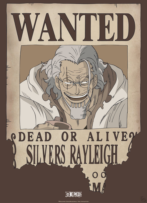 Abystyle Gbydco268 One Piece Wanted Rayleigh Poster 38x52cm | Yourdecoration.co.uk