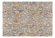 Wall Mural - Pebbles 400x280cm - Non-Woven Murals