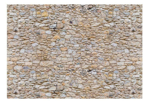 Wall Mural - Pebbles 400x280cm - Non-Woven Murals