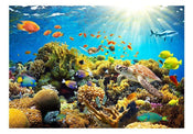 Wall Mural - Underwater Land 350x245cm - Non-Woven Murals