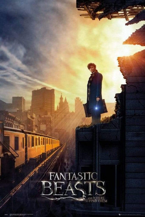 GBeye Fantastic Beasts One Sheet 2 Poster 61x91,5cm | Yourdecoration.co.uk